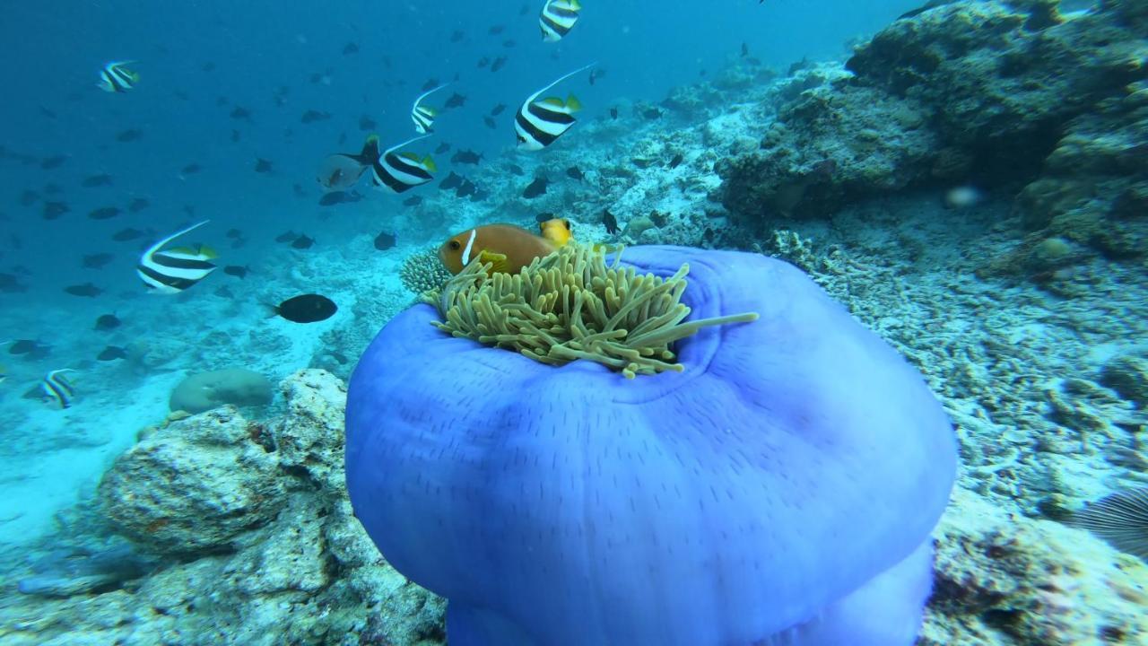 Dhangethi INN Bagian luar foto