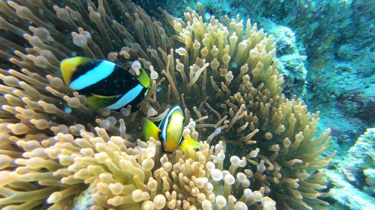 Dhangethi INN Bagian luar foto
