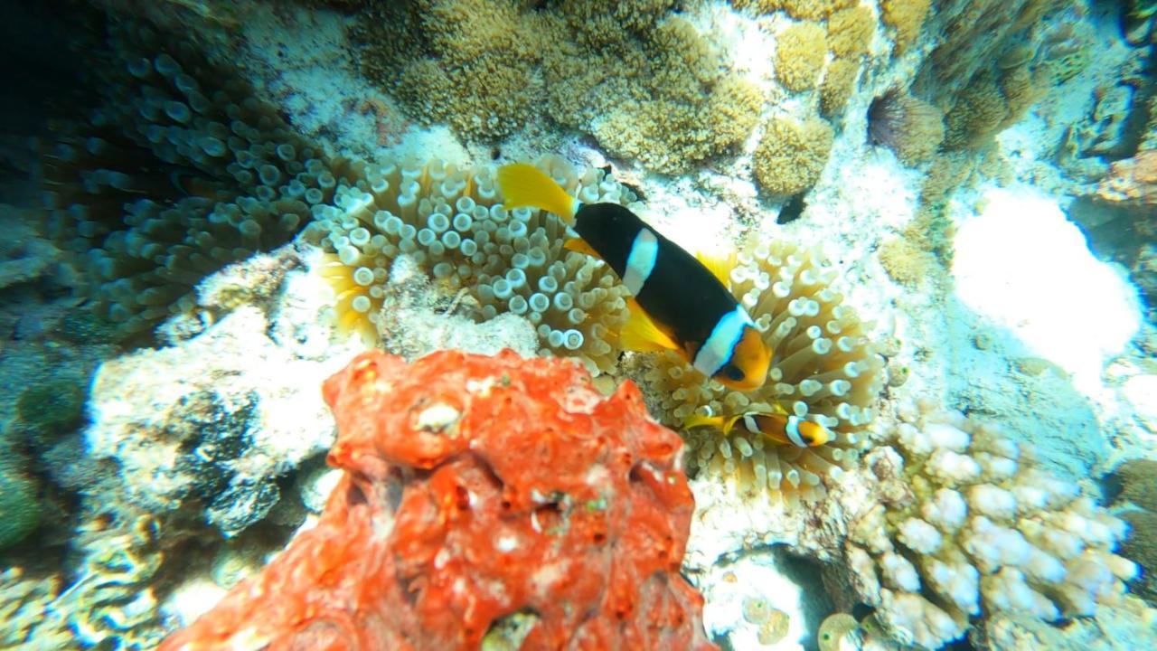 Dhangethi INN Bagian luar foto