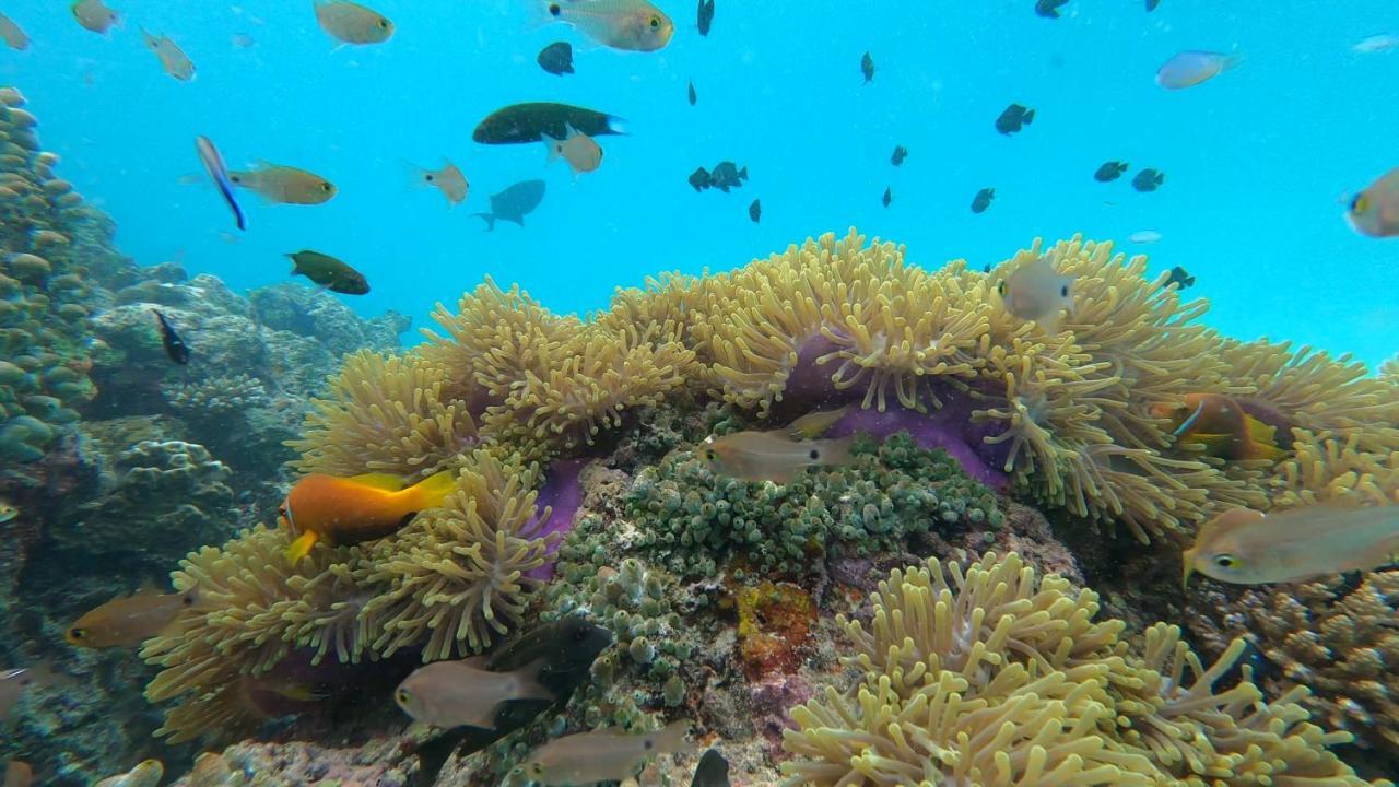Dhangethi INN Bagian luar foto